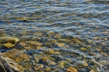Transparent sea water washes coastal stones overgrown with algae. Stone bottom can be seen through the clear sea surface of water.