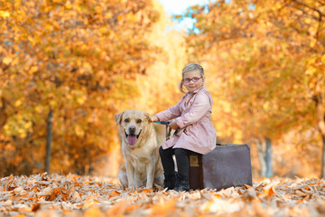 Herbstspaziergang mit Hund