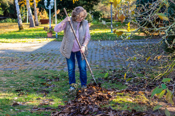 Frau harkt Blätter zusammen