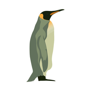 Penguin, isolated vector flat illustration. Side view