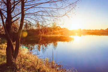 Obraz premium Sunset overlooking the river bank in autumn