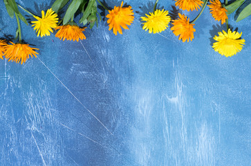 Floral pattern of calendula flowers on blue background. Flat lay, top view. Floral background.