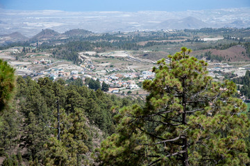На острове Тенерифе/On the island of Tenerife