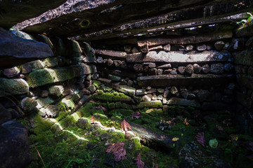 Saudeleur dynasty tomb (mausoleum) inside walls of Nan Madol central Nan Douwas part, made of large basalt slabs, overgrown ruins in the jungle, Pohnpei, Micronesia, Oceania