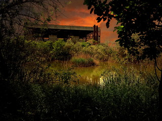 Obraz premium sunset in the park