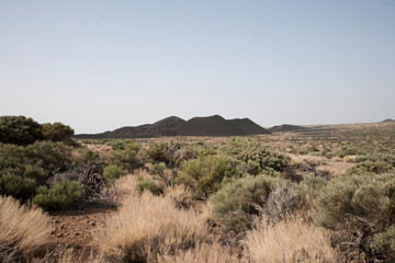 Fototapeta premium Остров/Island