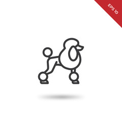 Poodle vector icon