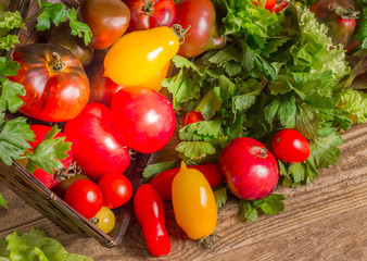 Many different tomato breeds and fragrant herb in a basket