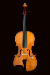 Obraz na płótnie Canvas Butterscotch Viola