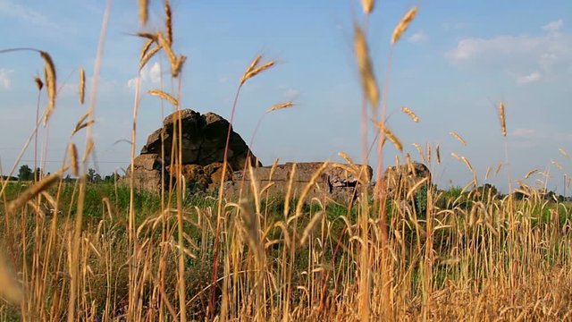 the old fortifications of the Second World, Military fortification, Military fortification on the field