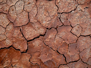 cracked clay