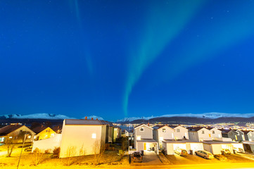 Fototapeta premium The polar lights in Norway. Tromso.