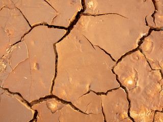 cracked clay