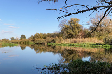 Obraz premium Havel river landscape during autumn time. water reflection of cloudscape. Willow tree on shore.
