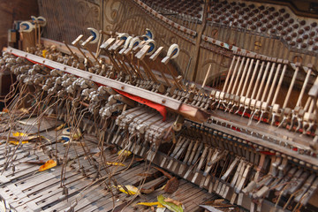 The insides of an old ruined piano standing outdoors