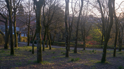 Naklejka premium Santiago viewed through trees at dusk