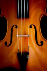 Viola © Jacob