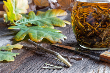 Preparing a homemade tincture from oak bark