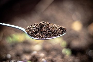 Spoonful of soil/compost/mud on metallic stainless steel, shallow depth of field, focused, macro isolated