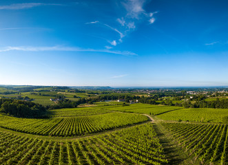 Fototapeta na wymiar Aerial view, Bordeaux vineyard, landscape vineyard south west of france