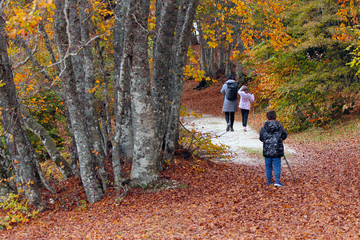 Obraz premium In cammino verso l'Autunno