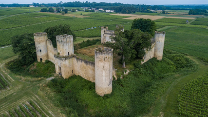 Chateau de Budos, Gironde, Aquitaine, France