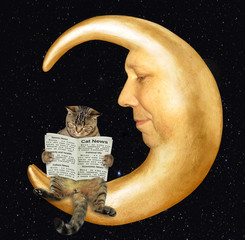 The smart cat is reading a newspaper on the moon. © iridi66