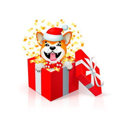 Happy cartoon puppy in gift box wearing santas hat. Portrait of Akita inu japanese dog. new year card. Christmas poster with yellow dog in red box.