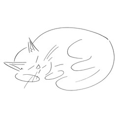 Hand drawn cat. Doodle sleeping cat. Vector image of a sleeper cat.