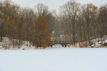 Fototapeta na wymiar Snowy winter day in New York, Central Park.