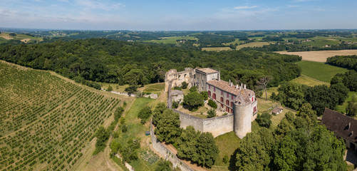 Fototapeta na wymiar Aerial view of old Castle of Benauge, Beguey, France