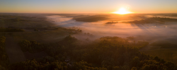 Aerial view, Bordeaux vineyard, landscape vineyard and fog at sunrise