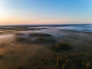 Forest in the fog from the heights at dawn