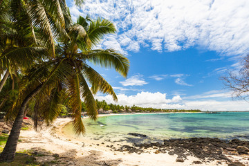 Naklejka na ściany i meble Belle Mare beach with coconut palm tree at Mauritius