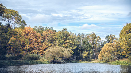 Scenic autumn river with trees on the shore.