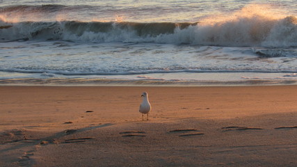 sunset on beach