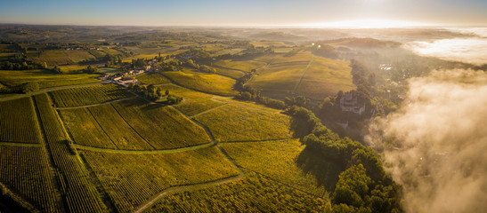 Aerial view Bordeaux Vineyard at sunrise, Entre deux mers, Langoiran, Gironde - obrazy, fototapety, plakaty