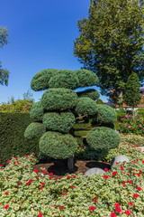 Beautiful view at the flower park in Rain - Bavaria - Germany