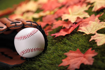 Baseball next to some fallen autumn maple leaves (focus on ball)