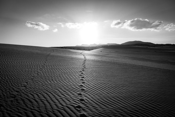 Sunset in Fuerteventura,Canary-Islands,Spain.