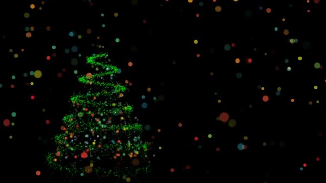 Christmas animation of pine tree and bokeh lights