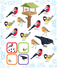 Puzzle for kids count winter birds