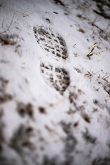 footprint in the snow in nature