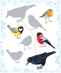 Winter birds find a shadow