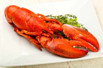 Lobster