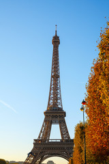 Fototapeta na wymiar Eiffel tower on autumn trees background. Sunny day