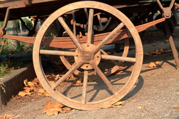 Fototapeta premium ruota di un carretto, wheel of a cart