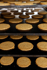 Commercial manufacturing and baking Oat Cakes No. 3