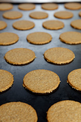 Commercial manufacturing and baking Oat Cakes No. 5