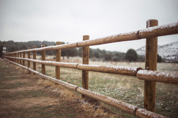 snow fence in nature